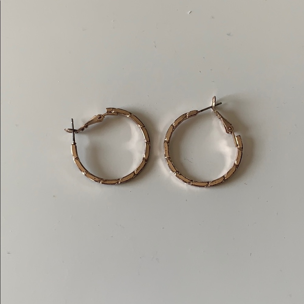 Earrings small hoop